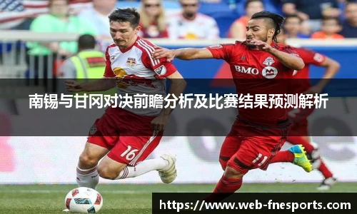 南锡与甘冈对决前瞻分析及比赛结果预测解析